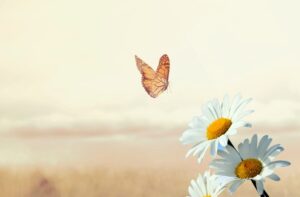 دانلود آهنگ کودتا کودتا