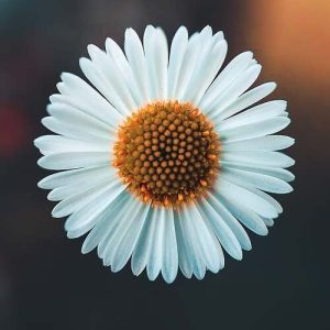 دانلود آهنگ به یارم بگید به یارم بگید