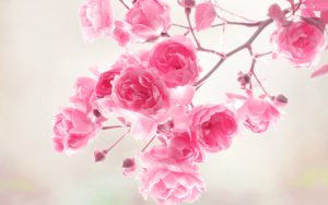 دانلود آهنگ دنیا دنیا دنیا دنیا