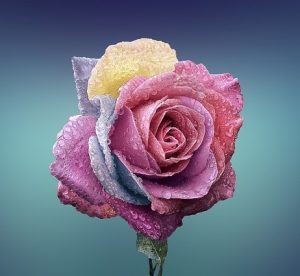 دانلود آهنگ کوچ کوچ