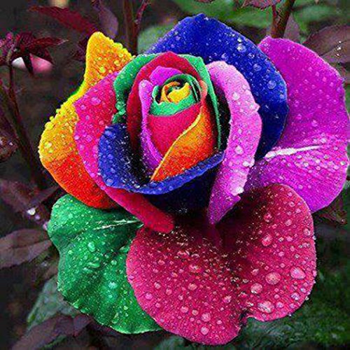 حمیرا به یاد روح انگیز