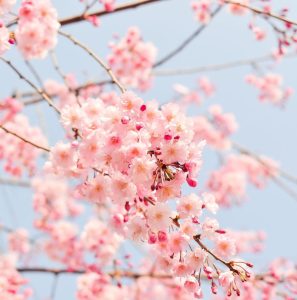 دانلود آهنگ محمد محمد