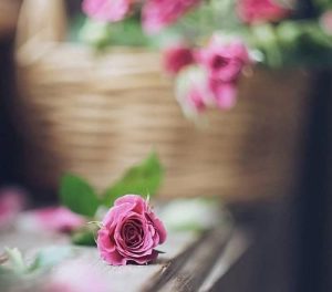 دانلود آهنگ معبود معبود