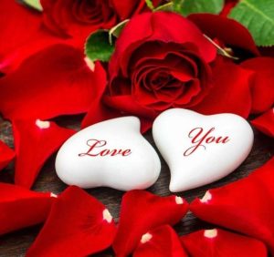 دانلود آهنگ دل دیوونه (ریمیکس) دل دیوونه (ریمیکس)