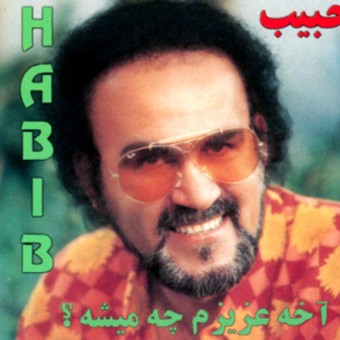 حبیب یارب