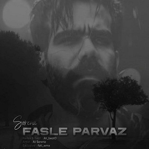 دانلود ریمیکس فصل پرواز از علی سورنا