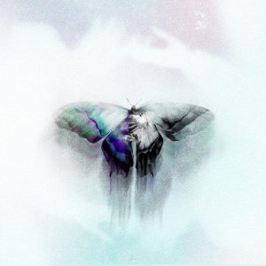 جیدال و سینجیم یه جا بهتر