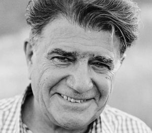 ریمیکس لول آپ 17