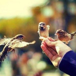 دانلود ریمیکس عشق آخر ریمیکس عشق آخر