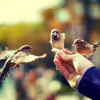 ریمیکس عشق آخر