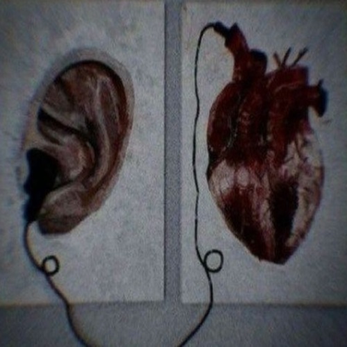 ریمیکس رز مرده 4 از ویناک و تی جی و پیدار و پوتک و دورچی