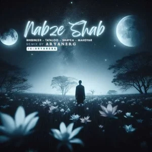 دانلود ریمیکس نبض شب ریمیکس نبض شب