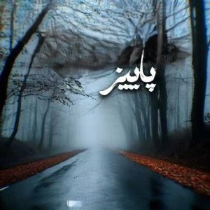 ریمیکس پاییز