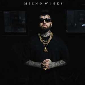 دانلود آهنگ ویناک کم نمیاد ویناک کم نمیاد