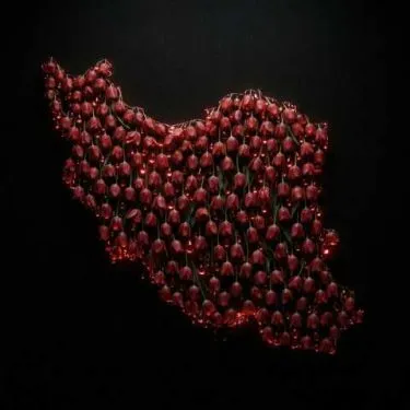 شروین حاجی پور ایرانم